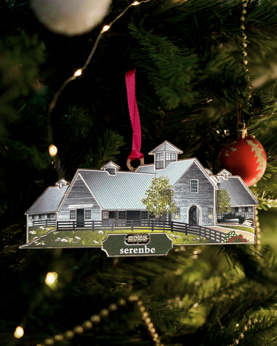 2025 Holiday Ornament